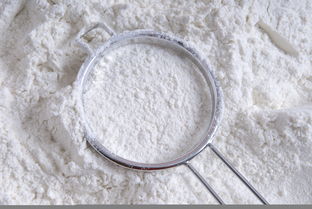 供应 美味面包粉 小麦粉价格–中国网库