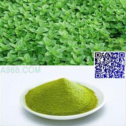 各种香草批发 各种香草供应 各种香草厂家 
