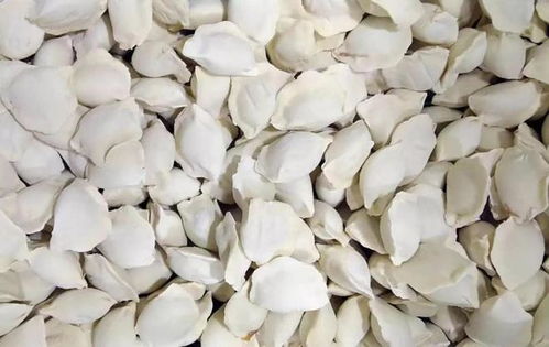 5块钱一斤的速冻饺子,到底是用什么做的