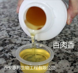 食用龟养殖报价 厂家