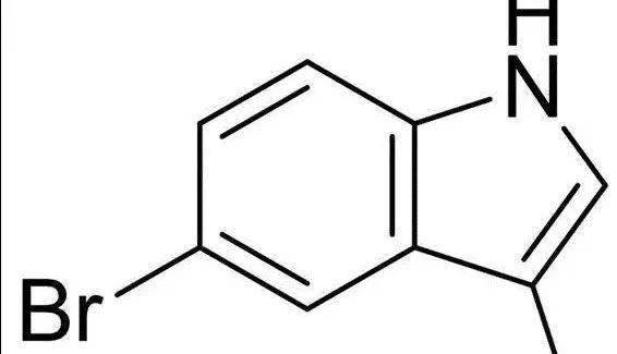 10条你不知道的的冷知识,生物学上菠萝和凤梨是同一种水果