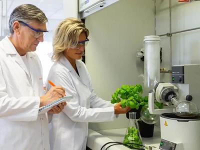 私募基金Eurazeo 8.2亿欧元出售西班牙香料香精生产商 Iberchem