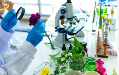 香精香料生产 创新技术与品质保障的专业之路